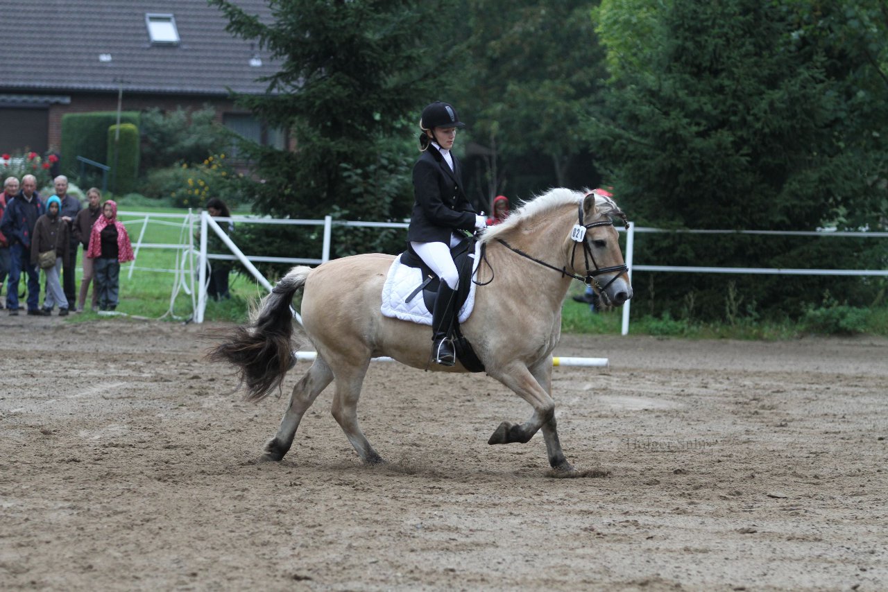 Bild 446 - WBO-Turnier am 18.9.11